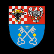 Romanów