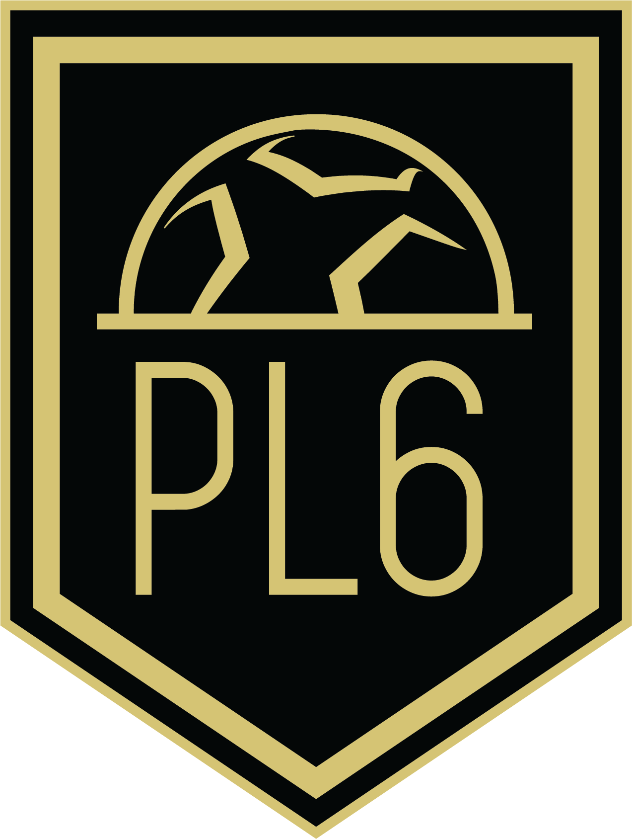 Polska Liga Szóstek
