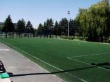 Boisko przy Stadionie Parasol 2 - Lotnicza 72